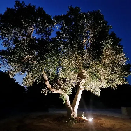 Privata Adele, Luxury Escape With Pool, Apulia, Salento