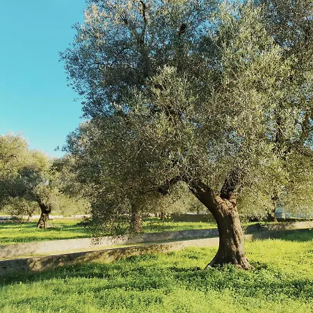 Privata Adele, Luxury Escape With Pool, Apulia, Salento San Vito dei Normanni