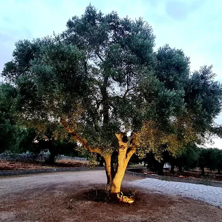 Willa Privata Adele, Luxury Escape With Pool, Apulia, Salento