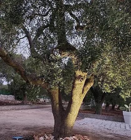 Willa Privata Adele, Luxury Escape With Pool, Apulia, Salento